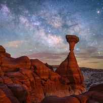 Toadstool Under The Night Sky by Michael Zheng