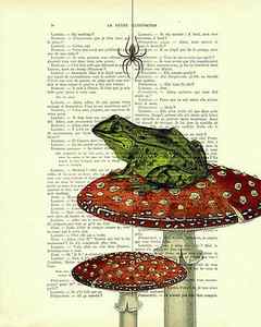 Wall Art - Digital Art - Green frog on toadstool antique french book page art by Madame Memento