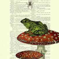 Green frog on toadstool antique french book page art by Madame Memento