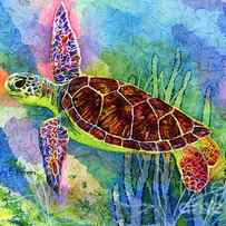 Sea Turtle by Hailey E Herrera