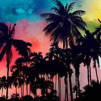 tropical colors by Mark Ashkenazi