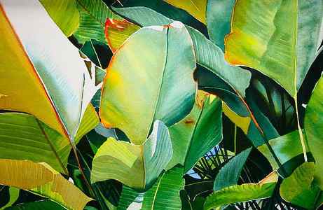 Wall Art - Painting - Tropical Leaves by Sarah Bent