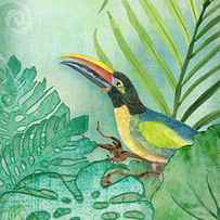 Rainforest Tropical - Tropical Toucan w Philodendron Elephant Ear and Palm Leaves by Audrey Jeanne Roberts