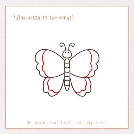 How to Draw a Butterfly - Step 7 – Add detail to the wings!