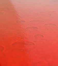 Water spotting - occurs on freshly painted exterior surfaces