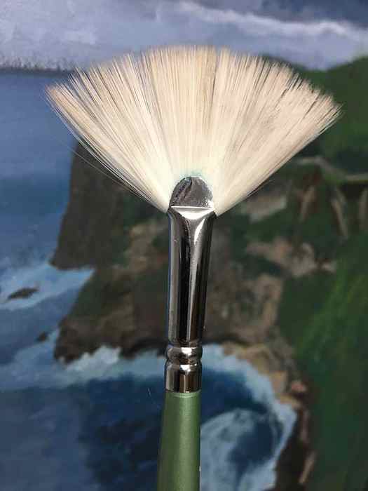 Artist Paint Brush - Fan Brush