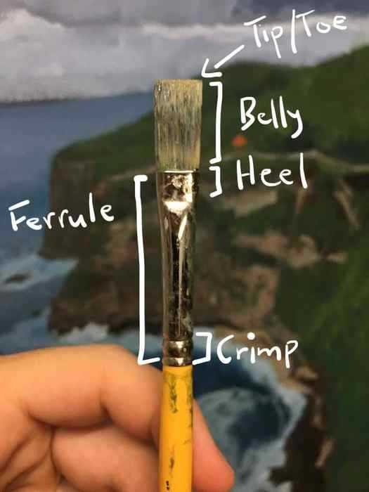Paint Brush Anatomy