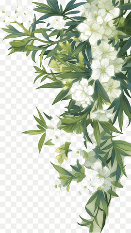 Familiar Wild Flowers Watercolour Flowers, White blooming flowers and green leaves, illustration of green plant with white flowers, watercolor Painting, watercolor Leaves, flower Arranging png thumbnail