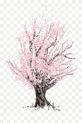 brown tree with pink leaf, Cherry blossom Drawing Sketch, Cherry tree, pencil, painted, tree Branch png thumbnail