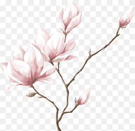pink flowers illustration, Watercolor painting Drawing Flower, real flower, branch, plant Stem, twig png thumbnail