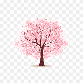 sakura tree, Cherry blossom Paper Tree, Pink cherry tree, watercolor Painting, tree Branch, branch png thumbnail