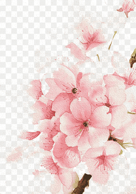 Watercolour Flowers Watercolor: Flowers Watercolor painting Drawing, Cherry blossoms, illustration of pink petaled flowers, flower Arranging, branch, mobile Phone png thumbnail