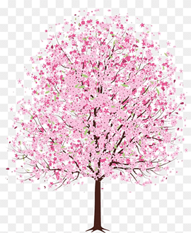 Cherry blossom Tree, Pink Peach Tree, tree Branch, branch, palm Tree png thumbnail