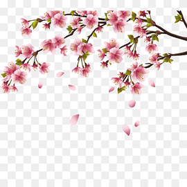 pink flowers, Cherry blossom Peach blossom, Peach blossom, flower Arranging, branch, flower png thumbnail