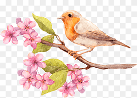 bird on tree branch with pink flowers, Greeting card Flower Watercolor painting Birthday, Beautiful bird delicate peach flowers, wish, branch, fauna png thumbnail