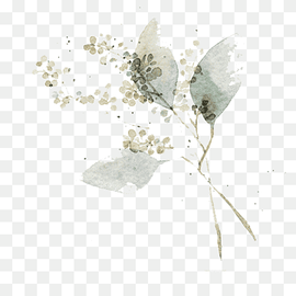 Watercolor painting Flower Art Illustration, Watercolor leaves, white floral painting, watercolor Leaves, painted, pencil png thumbnail