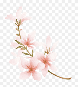 Blossom Drawing Peach Watercolor painting, peach, branch, plant Stem, twig png thumbnail