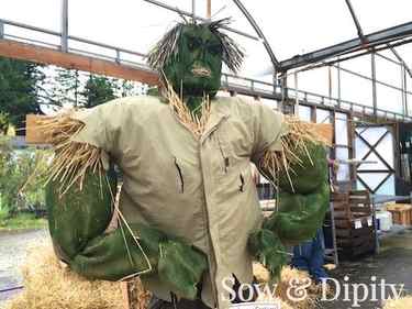 The Hulk Scarecrow