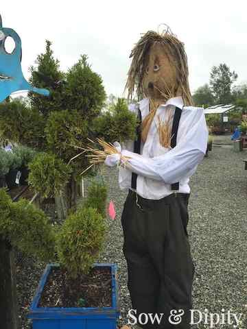 Edward Scissorhands Scarecrow