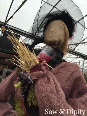 Fashionista Scarecrow (1)