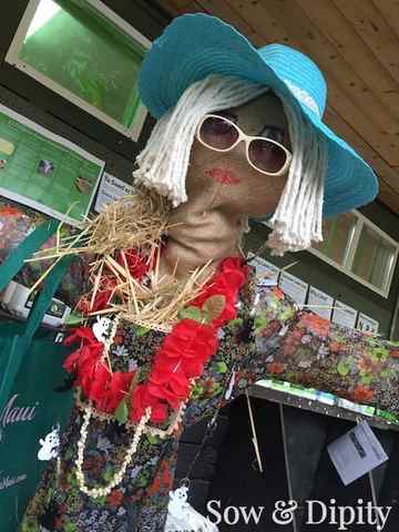 Tourist Scarecrow