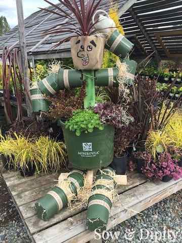 Plant Scarecrow