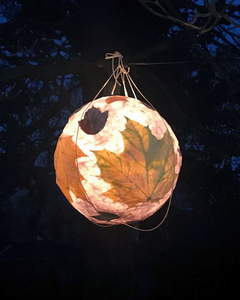 paper mache leaf lantern light up in the night