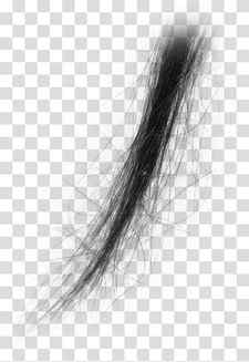 Hair, black hair strands transparent background PNG clipart thumbnail