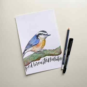 Bird sketch with pencil and Pitt Artist Pen