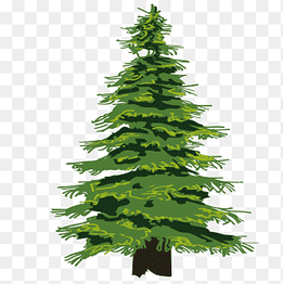green Christmas tree, Evergreen Tree Pine Drawing, Cartoon fine jungle, cartoon Character, branch png thumbnail