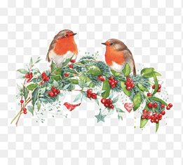 Christmas Robin Drawing Pin, wishing tree, watercolor Painting, holidays png thumbnail