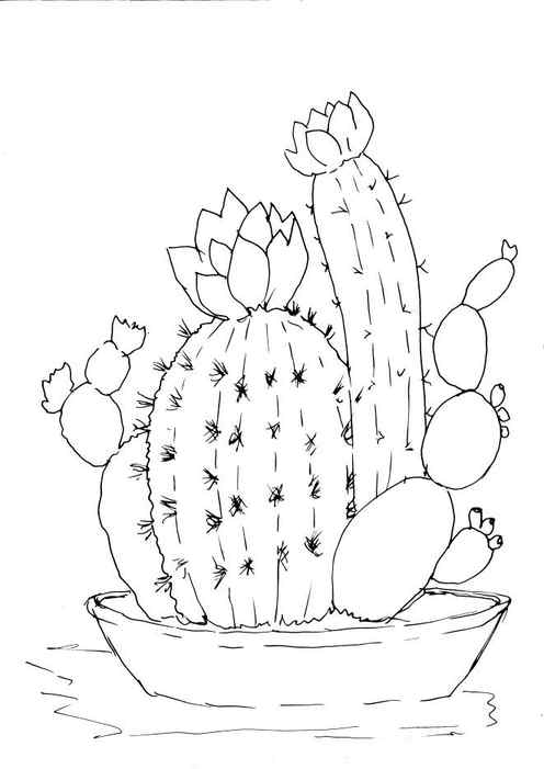 How to Draw a Cactus Easy Step by Step Drawing