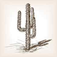 How to Draw a Cactus Step by Step EasyLineDrawing