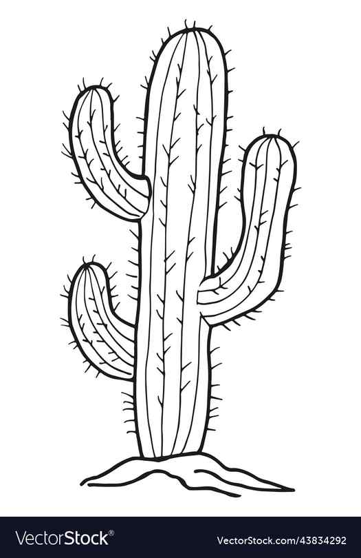 Cartoon Cactus Drawing How To Draw A Cartoon Cactus Step By Step