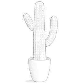 How to Draw a Cactus Step by Step EasyLineDrawing