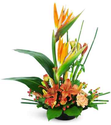 High-Rise Prize™ Floral Arrangement