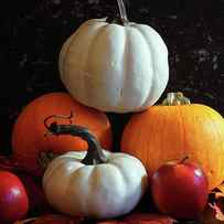 Autumn harvest, diverse assortment of pumpkins on a black marble table counter. by Milleflore Images