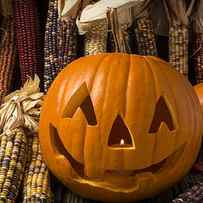 Jack-O-lantern and Indian corn by Garry Gay