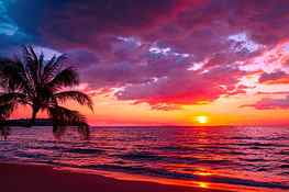Tropical sunset, sea, palms, sand, tropics, coast, paradise, beautiful, beach, summer, purple, waves, pink, reflection, sky, ocean, sunset HD wallpaper