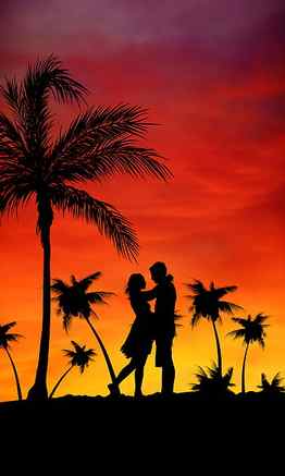 Sunset, Palms, Love, Couple, Pair HD phone wallpaper