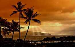 Sunset In The Tropics, tropical, beaches, nature, palm trees, sunset, ocean HD wallpaper